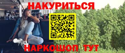 прущие крисы Абакан