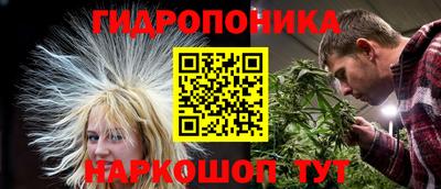 прущие крисы Абакан